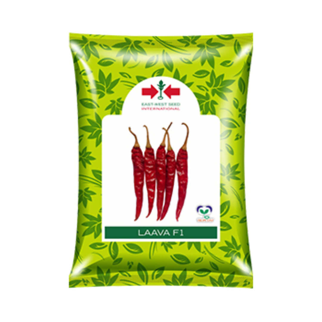 Laava Chilli Seeds - East West | F1 Hybrid | Buy Online at Best Price