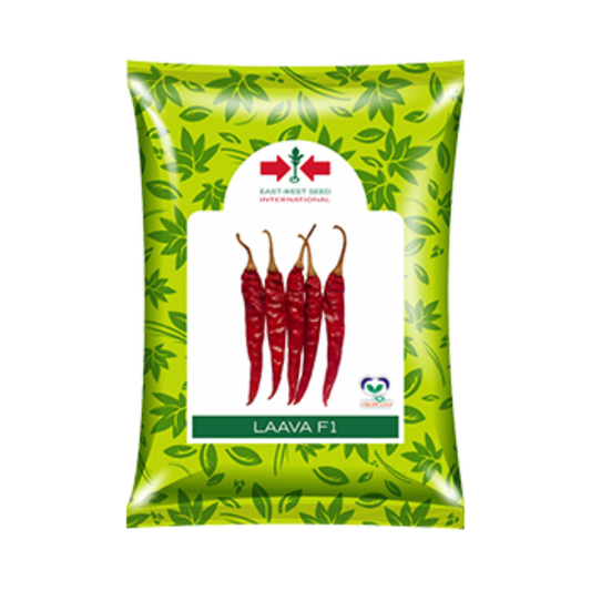 Laava Chilli Seeds - East West | F1 Hybrid | Buy Online at Best Price