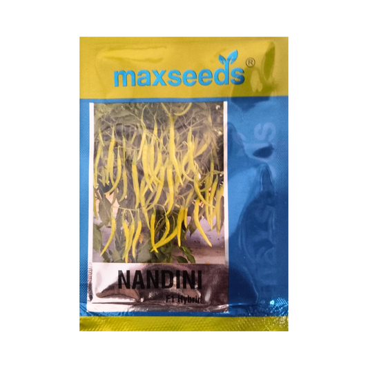 Nandini Chilli Seeds - Max | F1 Hybrid | Buy Online at Best Price Now