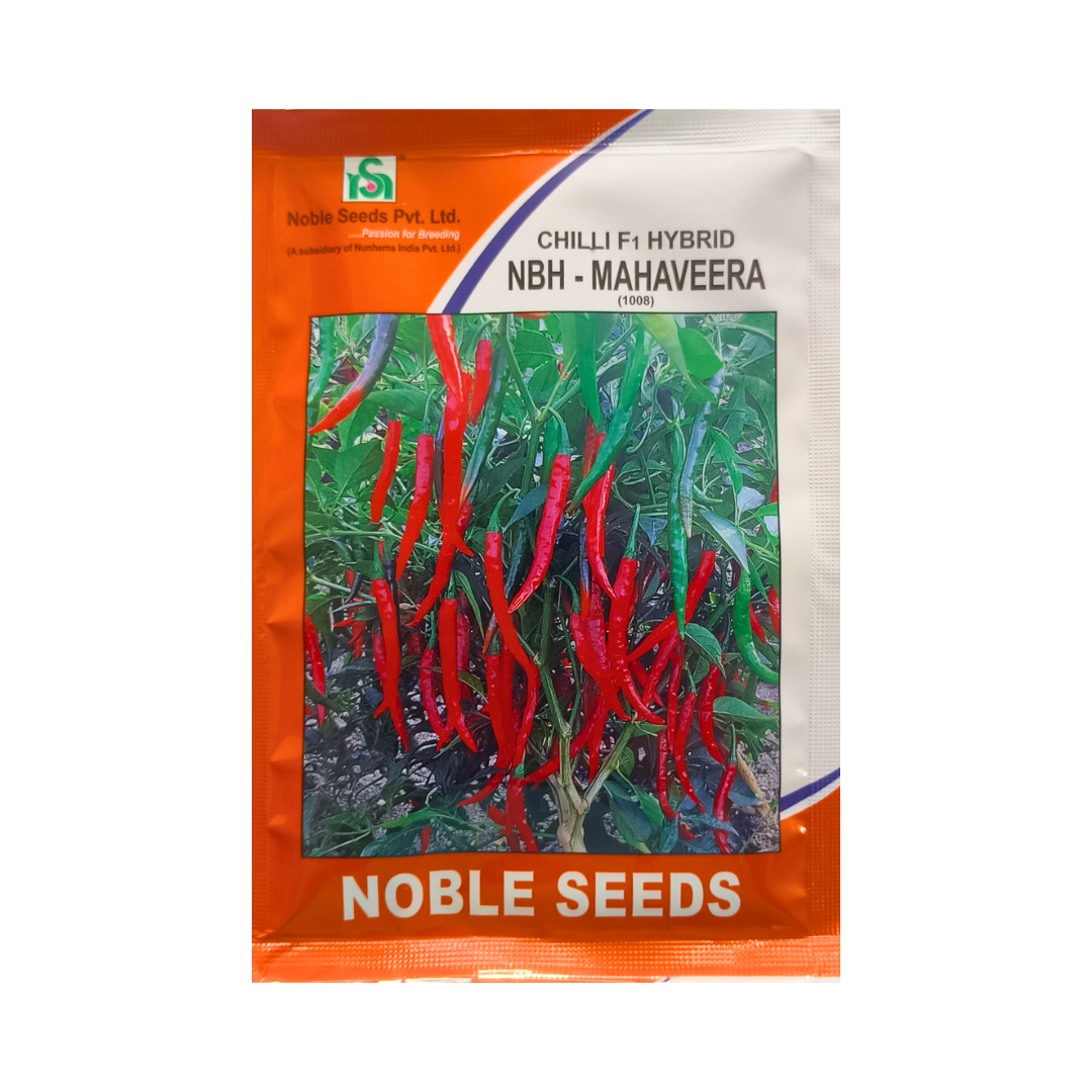 NBH - Mahaveera (1008) Chilli Seeds - Noble | F1 Hybrid | Buy Online Now