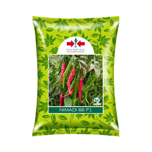 Nimadi 066 Chilli Seeds - East West | F1 Hybrid | Buy Online at Best Price