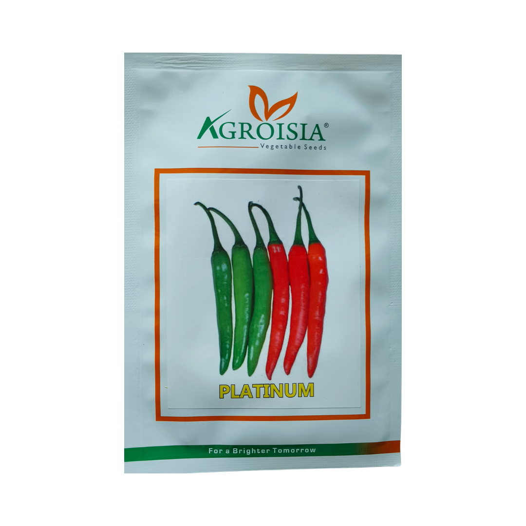 Platinum Chilli Seeds - Agroisia | F1 Hybrid | Buy Online at Best Price