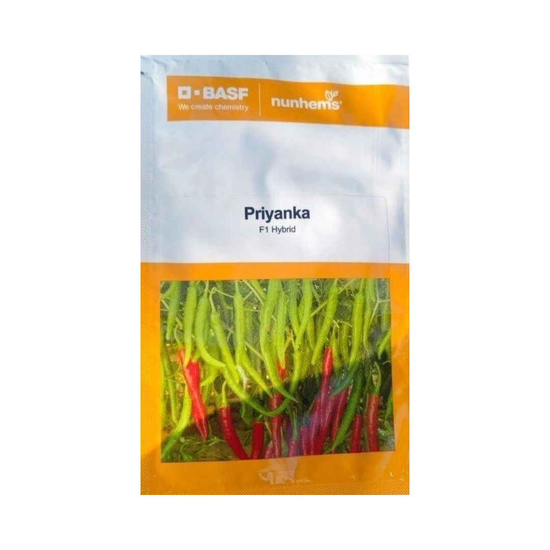 Priyanka Chilli Seeds - Nunhems | F1 Hybrid | Buy Online at Best Price