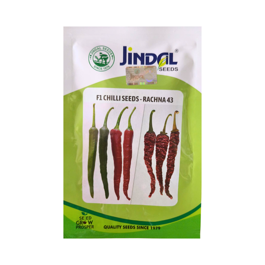 Rachna 43 Chilli Seeds - Jindal Seeds | F1 Hybrid | Buy Online Now
