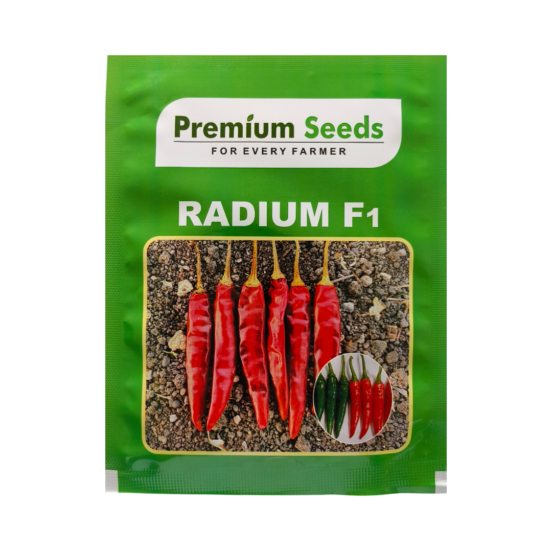 Radium (PS 303) Chilli Seeds - Premium | F1 Hybrid | Buy Online - DesiKheti