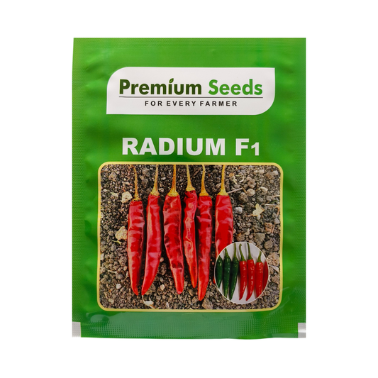 Radium (PS 303) Chilli Seeds - Premium | F1 Hybrid | Buy Online - DesiKheti
