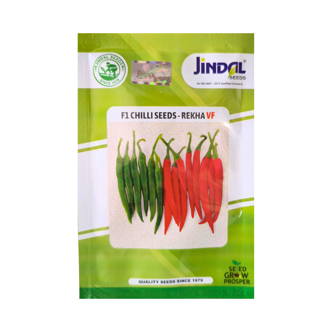 Rekha VF Chilli Seeds - Jindal Seeds | F1 Hybrid | Buy Online Now