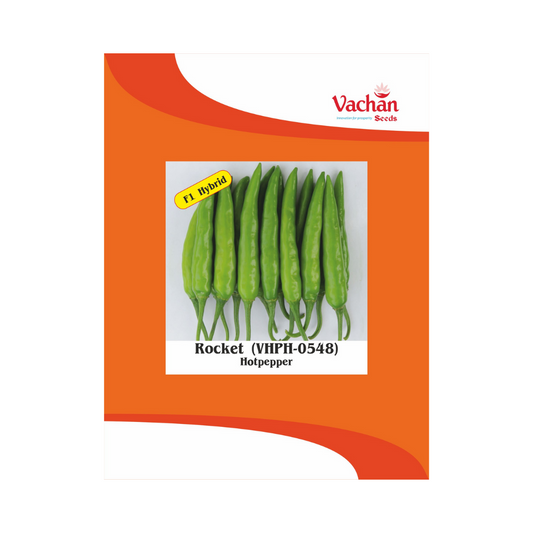 Rocket (VHPH-0548) Chilli Seeds - Vachan | F1 Hybrid | Buy Online Now