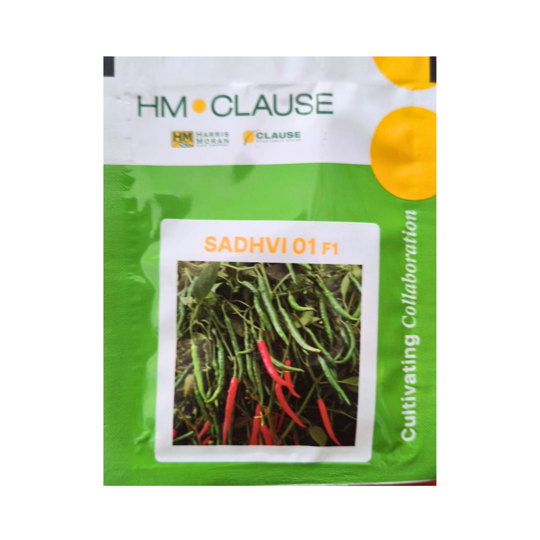 Sadhvi 01 Chilli Seeds - HM Clause | F1 Hybrid | Buy Online - DesiKheti