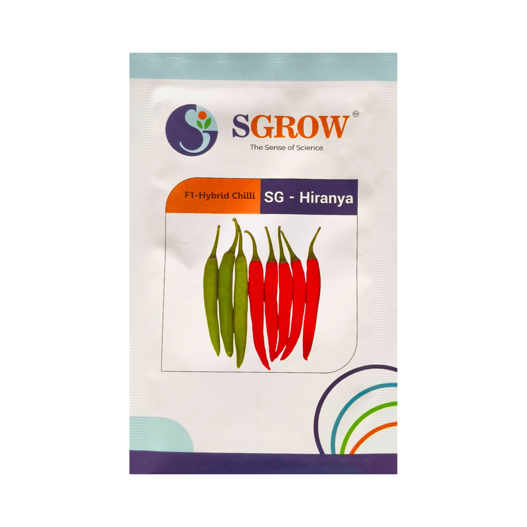 SG-Hiranya Chilli Seeds - Sgrow | F1 Hybrid | Buy Online at Best Price
