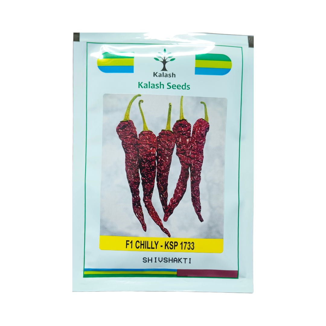 KSP 1733 Shivshakti Chilli Seeds - Kalash | F1 Hybrid | Buy Online at Best Price