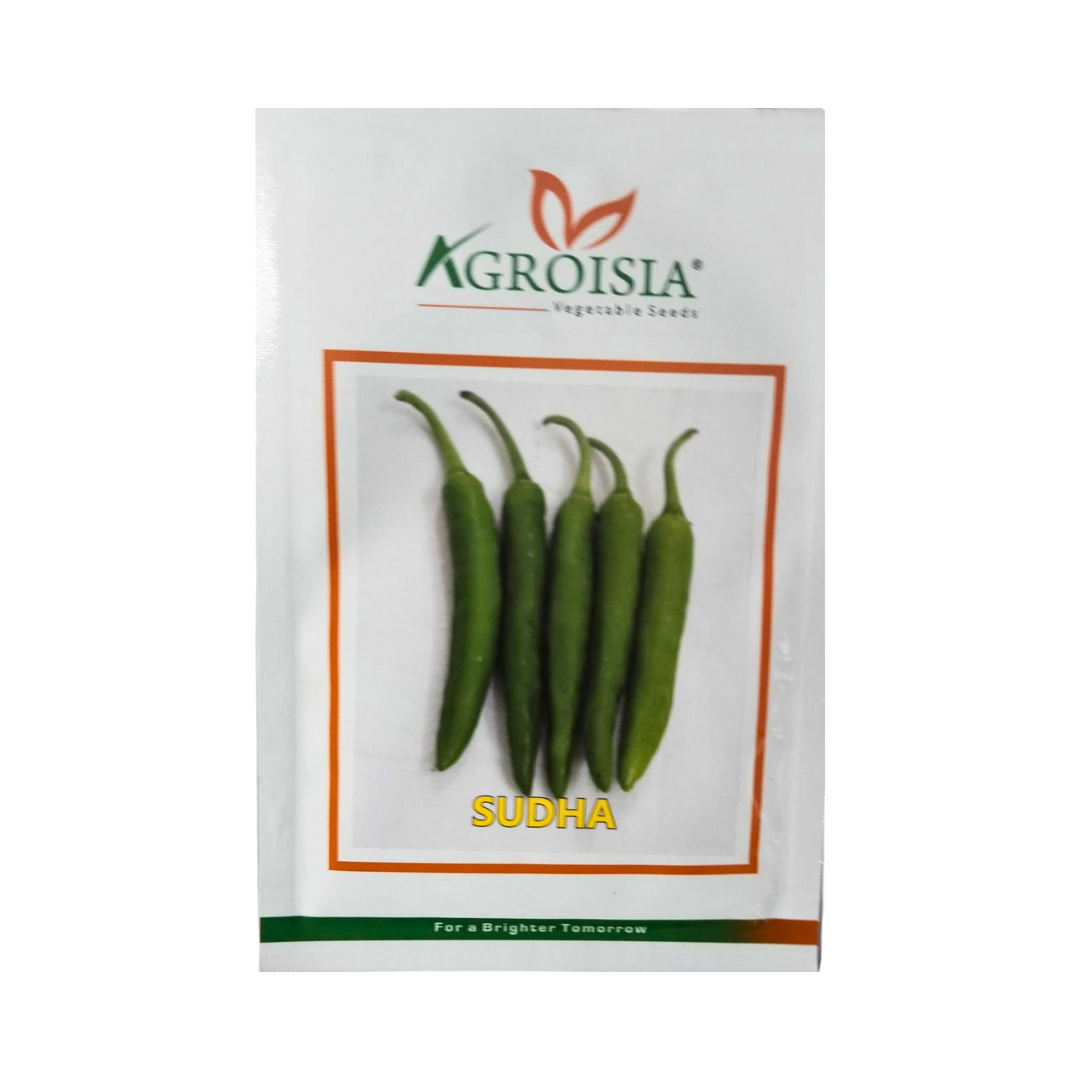 Sudha Chilli Seeds - Agroisia | F1 Hybrid | Buy Online at Best Price