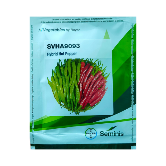 SVHA 9093 Chilli Seeds