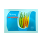 UV-Naringa Chilli Seeds - Univeg | F1 Hybrid | Buy Online at Best Price