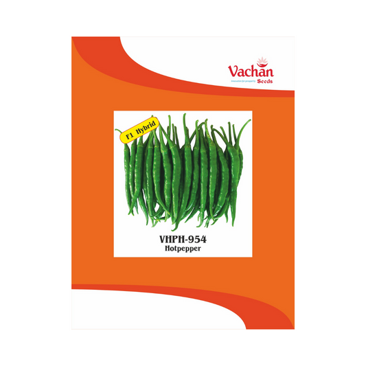 VHPH-954 Chilli Seeds - Vachan | F1 Hybrid | Buy Online Now