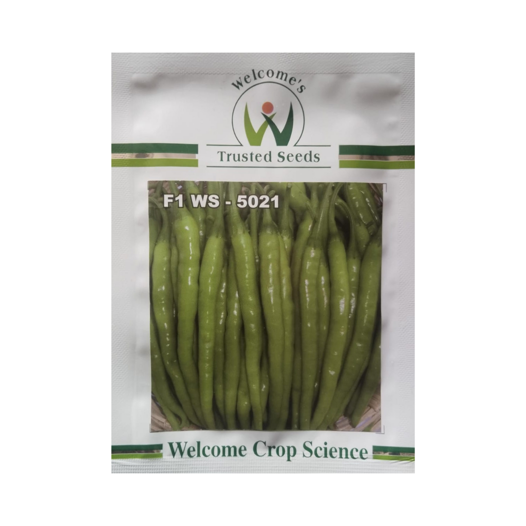 WS 5021 Chilli Seeds - Welcome | F1 Hybrid | Buy Online at Best Price