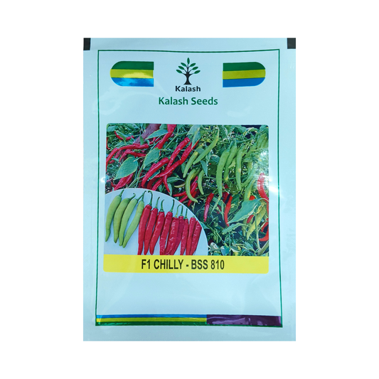 BSS 810 Chilli Seeds - Kalash | F1 Hybrid | Buy Online Now - DesiKheti