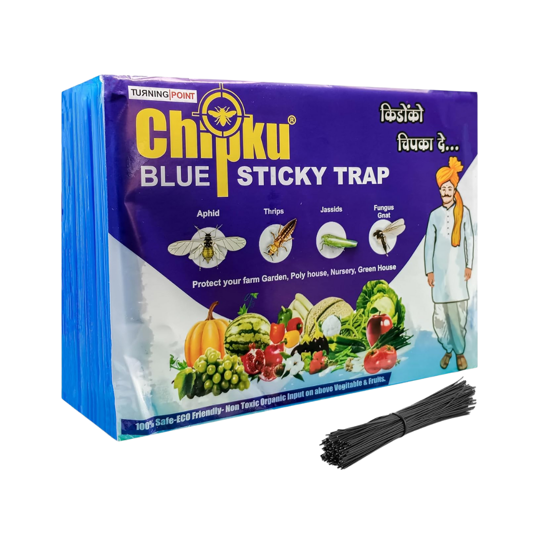 Chipku - Blue Sticky Trap Size A5 | Buy Online at Best Price Now