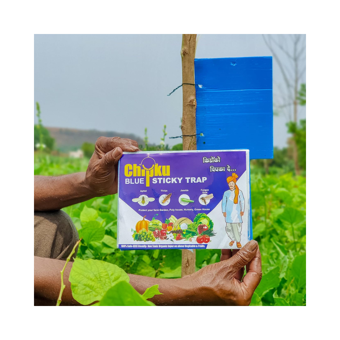 Chipku - Blue Sticky Trap Size A5 | Buy Online at Best Price Now