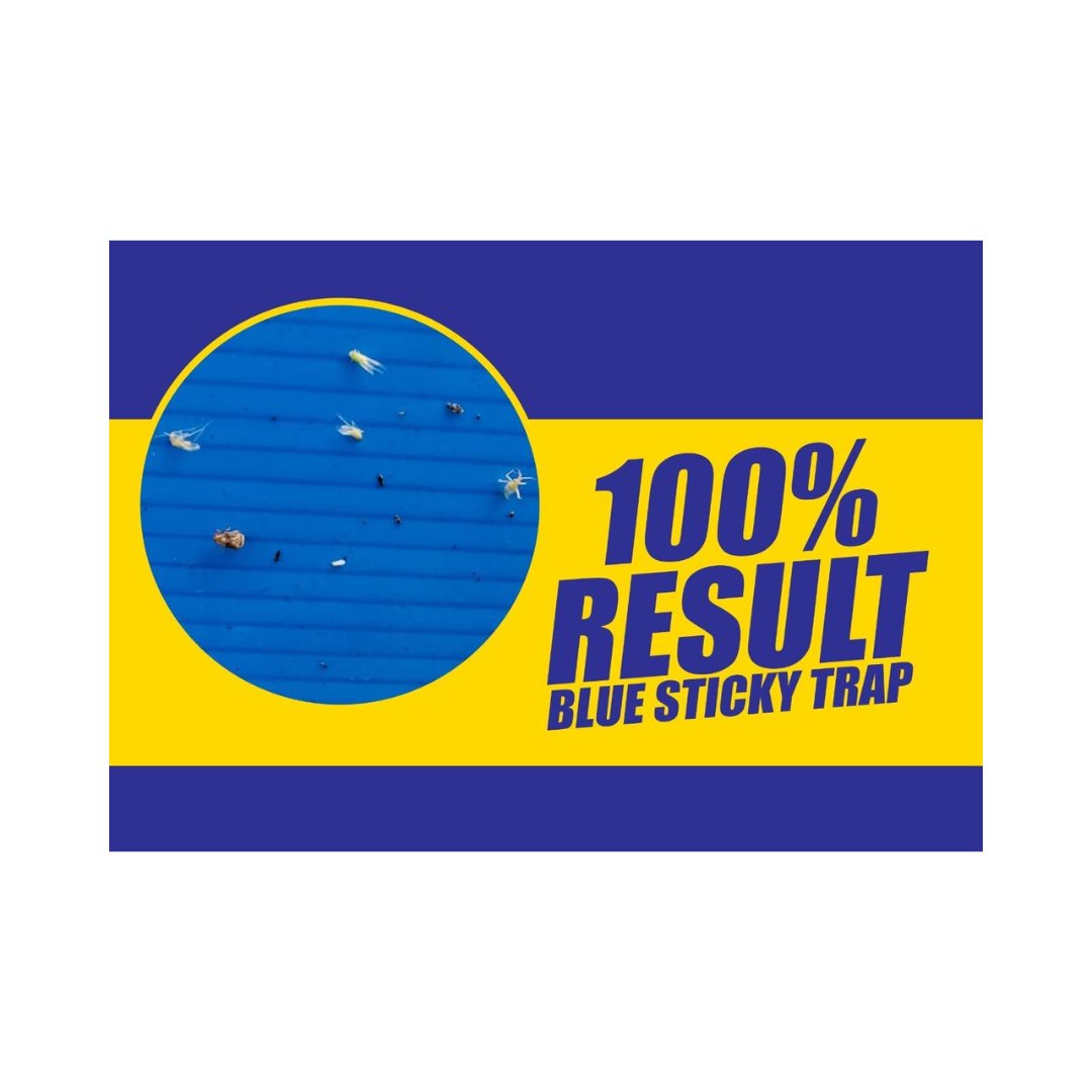 Chipku - Blue Sticky Trap Size A5 | Buy Online at Best Price Now