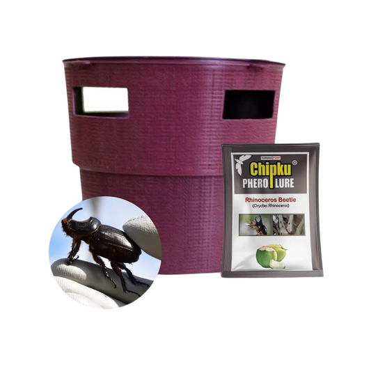 Chipku - Bucket Trap with Rhinoceros Beetle Pheromone Lure - Buy Now