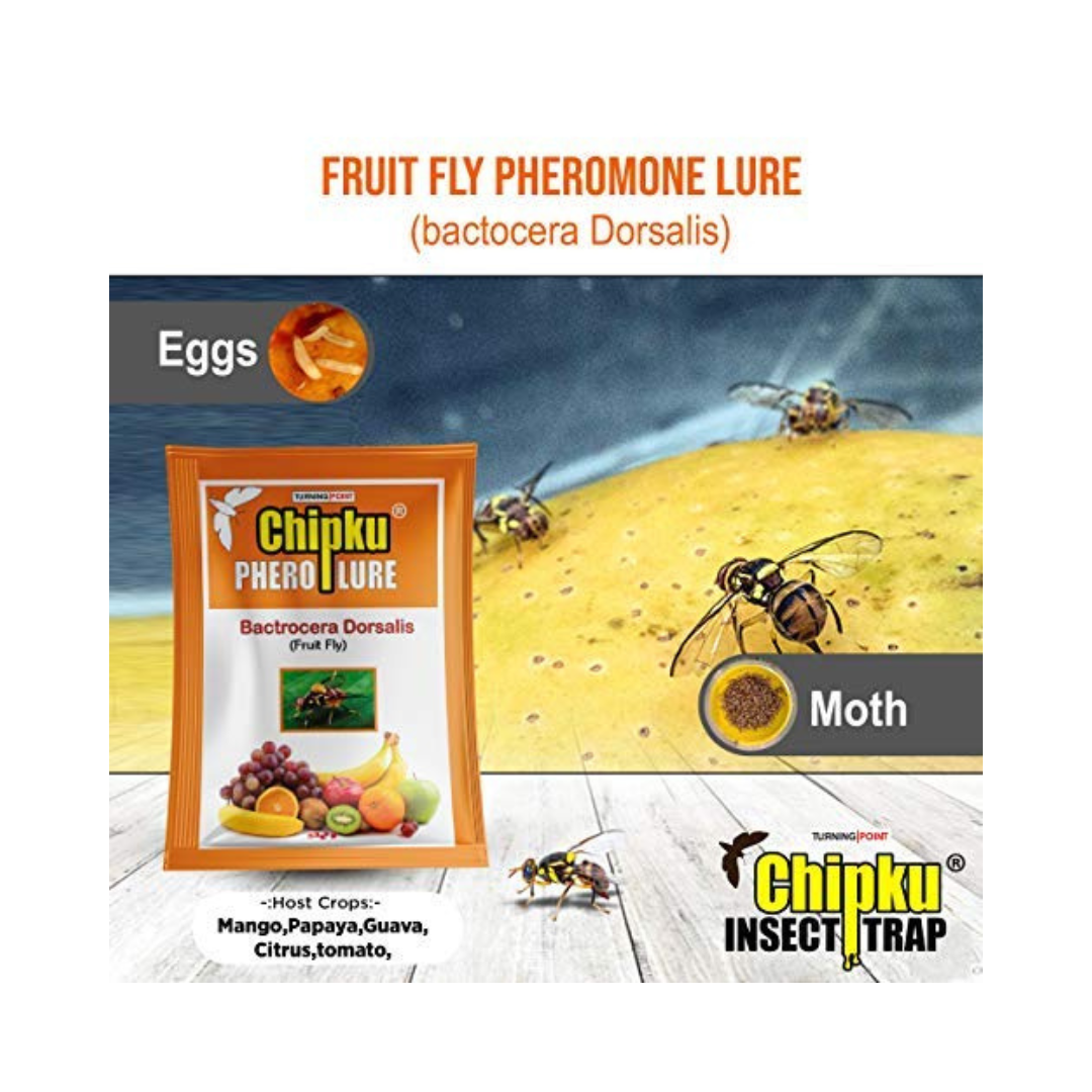 Chipku - Bactrocera Dorsalis (Fruit Fly) Lure | Buy Online - DesiKheti