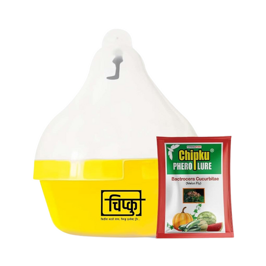 Chipku - Melon Fly bactocera cucurbitae MacPhill/Maxplus pheromone Trap