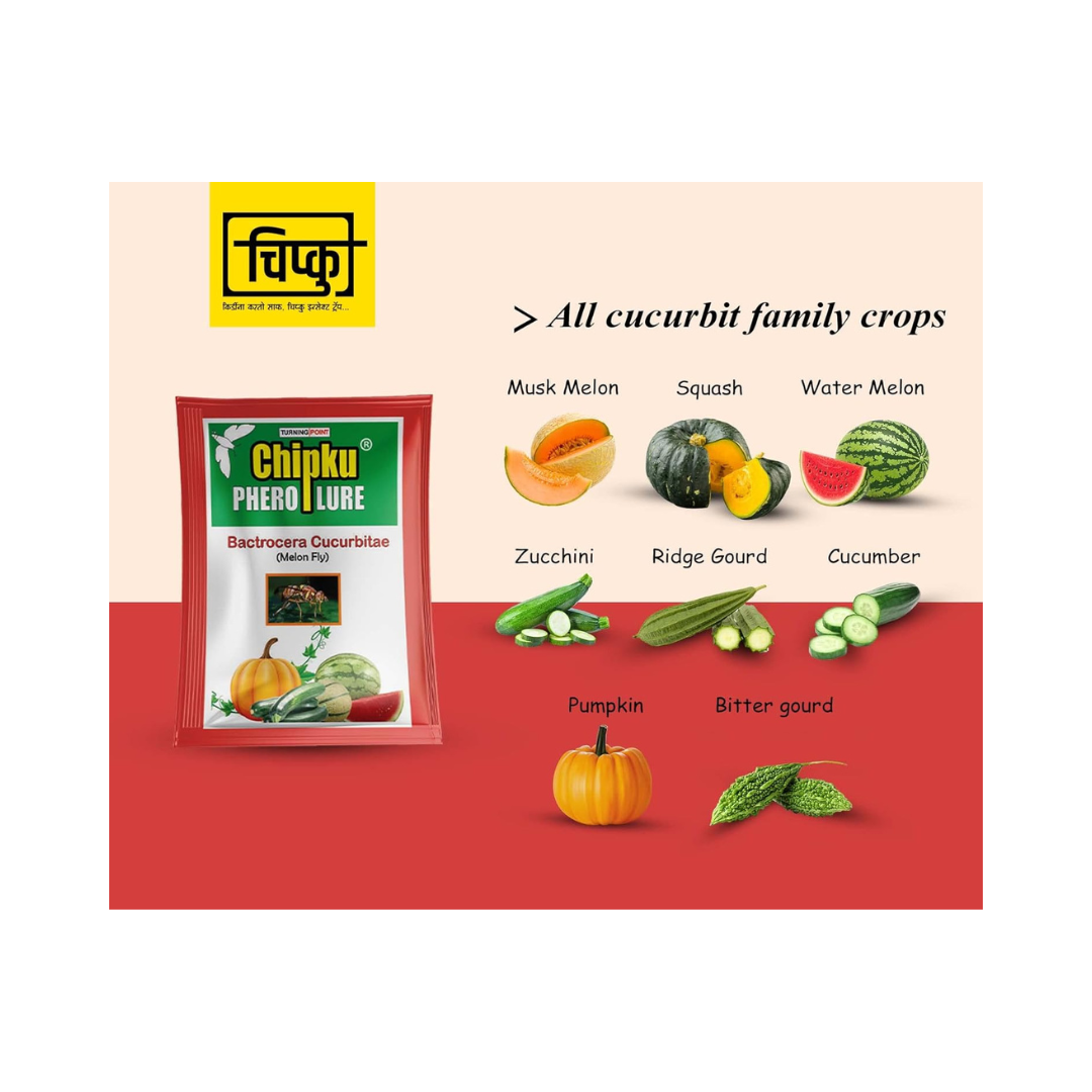 Chipku - Melon Fly bactocera cucurbitae MacPhill/Maxplus pheromone Trap