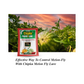 Chipku - Melon Fly bactocera cucurbitae MacPhill/Maxplus pheromone Trap