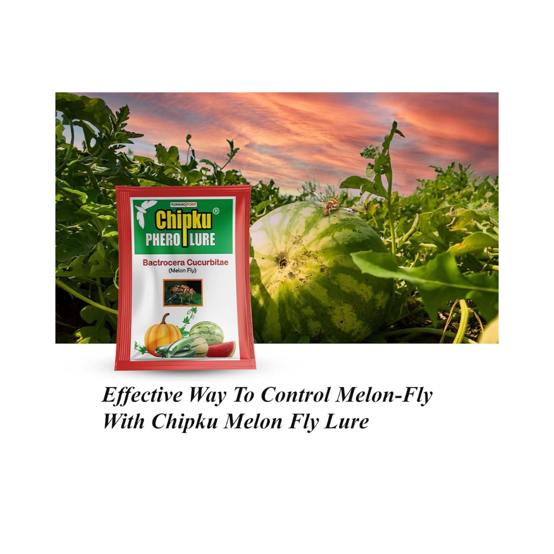 Chipku - Melon Fly bactocera cucurbitae MacPhill/Maxplus pheromone Trap