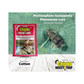 Chipku - Pheromone Trap Funnel with Pink Bollworm Lure for Catch Insect/Moth of Pink Bollworm (pectinophora Gossippiella)