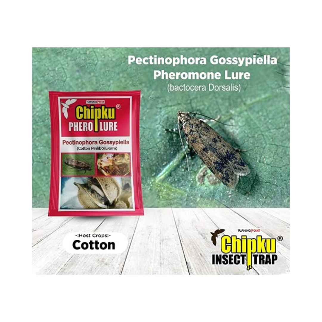 Chipku - Pheromone Trap Funnel with Pink Bollworm Lure for Catch Insect/Moth of Pink Bollworm (pectinophora Gossippiella)