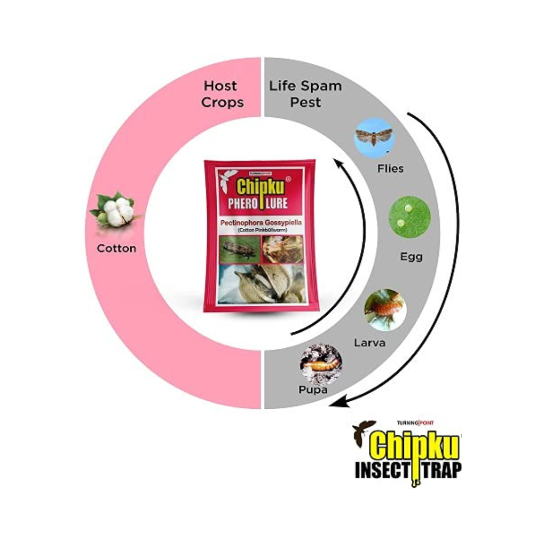Chipku - Pheromone Trap Funnel with Pink Bollworm Lure for Catch Insect/Moth of Pink Bollworm (pectinophora Gossippiella)