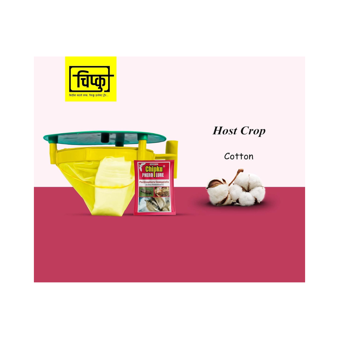 Chipku - Pheromone Trap Funnel with Pink Bollworm Lure for Catch Insect/Moth of Pink Bollworm (pectinophora Gossippiella)