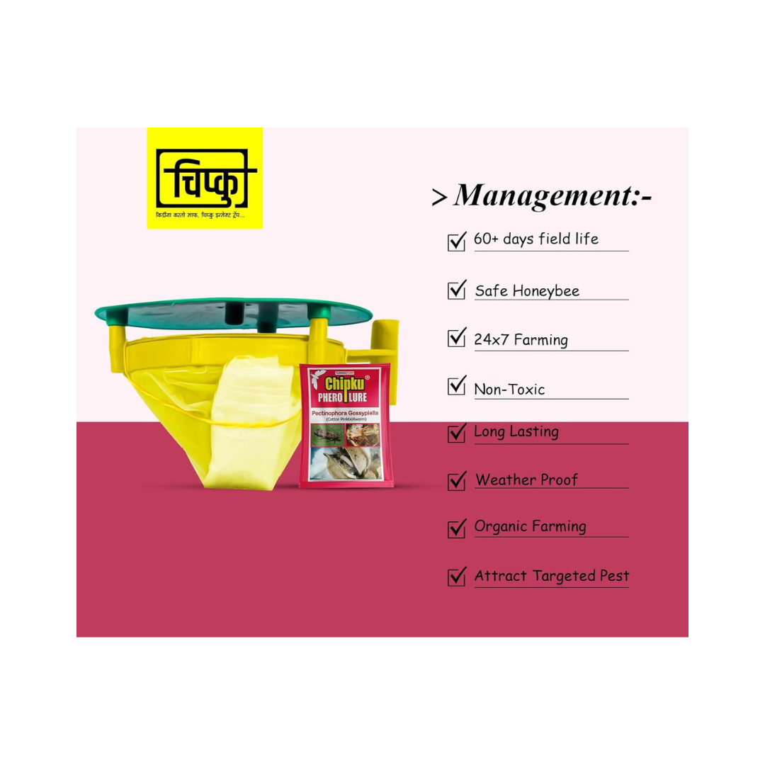 Chipku - Pheromone Trap Funnel with Pink Bollworm Lure for Catch Insect/Moth of Pink Bollworm (pectinophora Gossippiella)