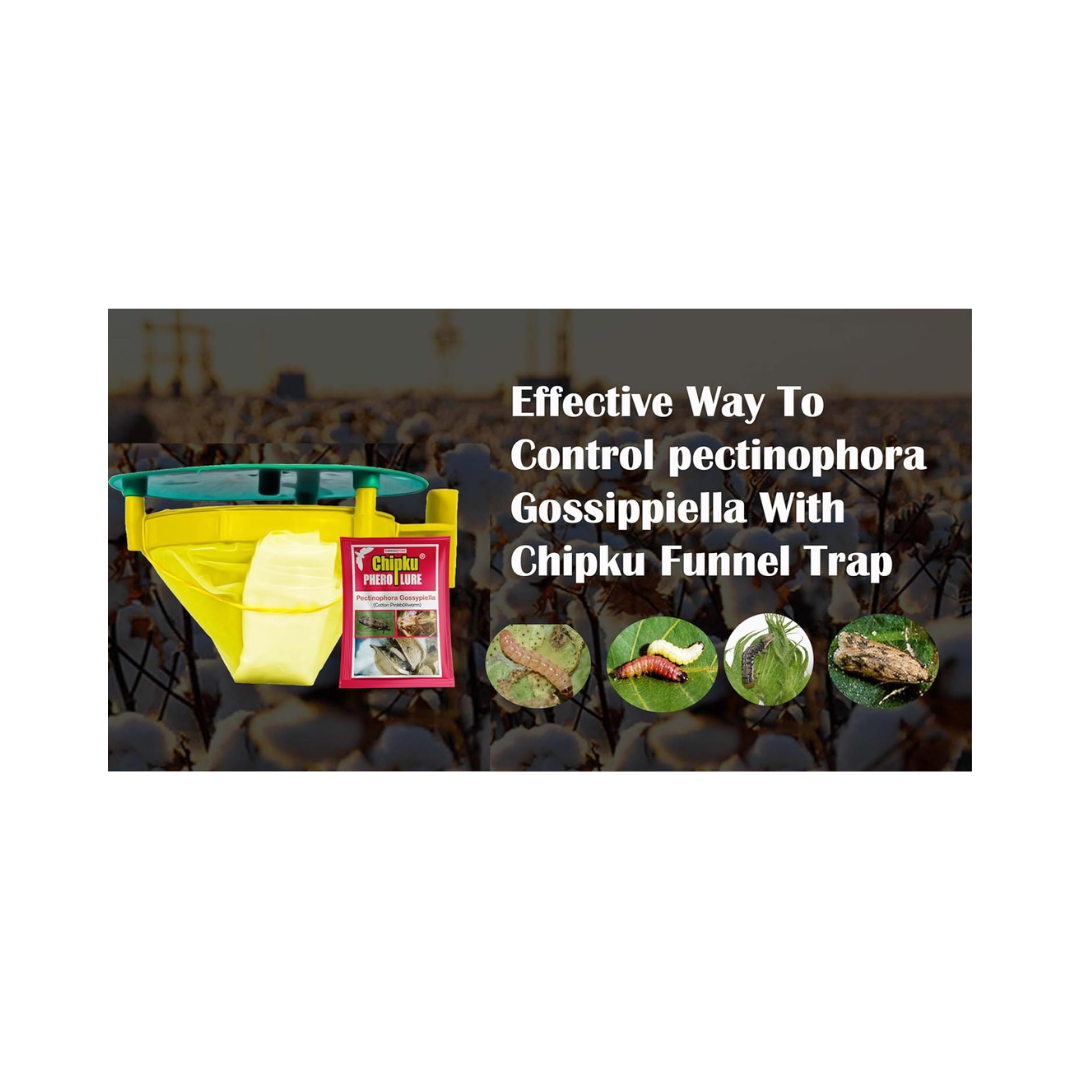 Chipku - Pheromone Trap Funnel with Pink Bollworm Lure for Catch Insect/Moth of Pink Bollworm (pectinophora Gossippiella)