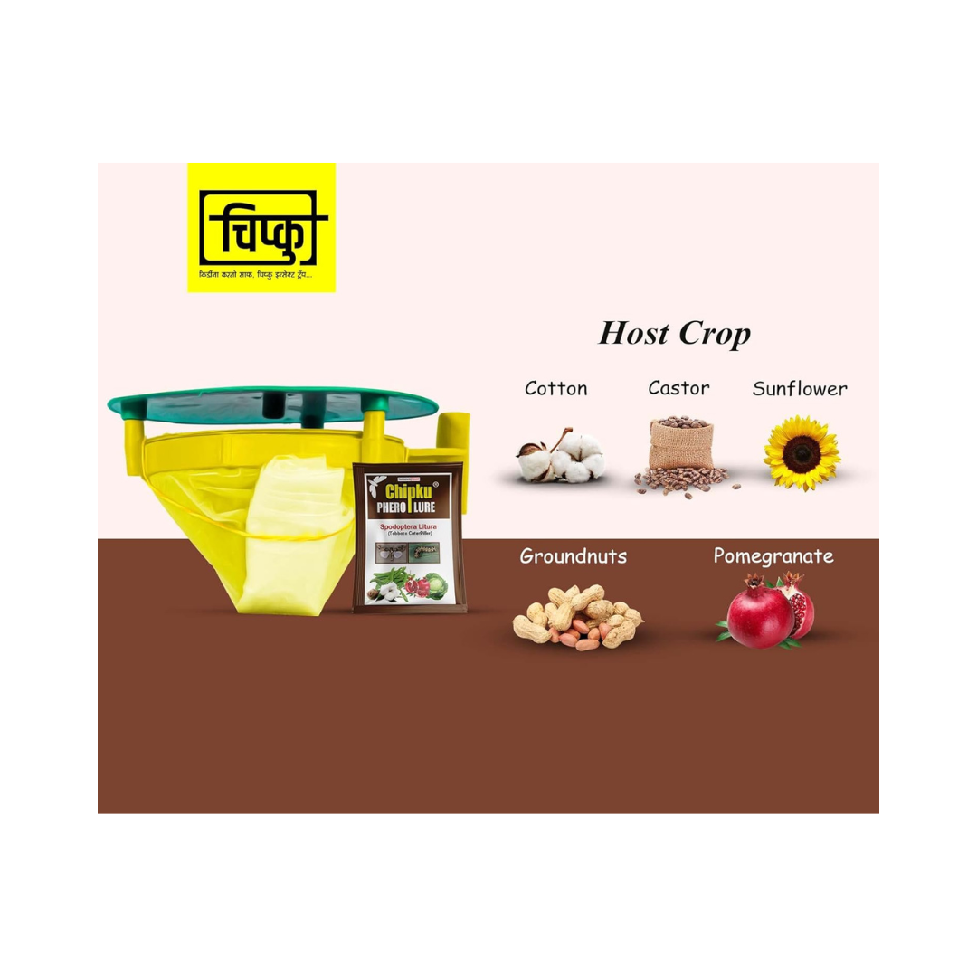 Chipku - Pheromone Trap Funnel with Spodoptera Litura Lure for Catch Insect/Moth of Tobacco Caterpillar (spodo) (Spodoptera Litura)