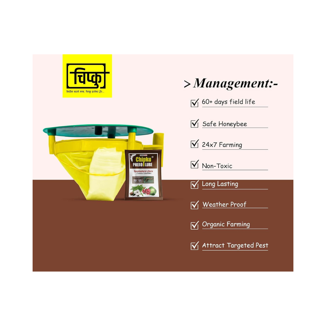 Chipku - Pheromone Trap Funnel with Spodoptera Litura Lure for Catch Insect/Moth of Tobacco Caterpillar (spodo) (Spodoptera Litura)