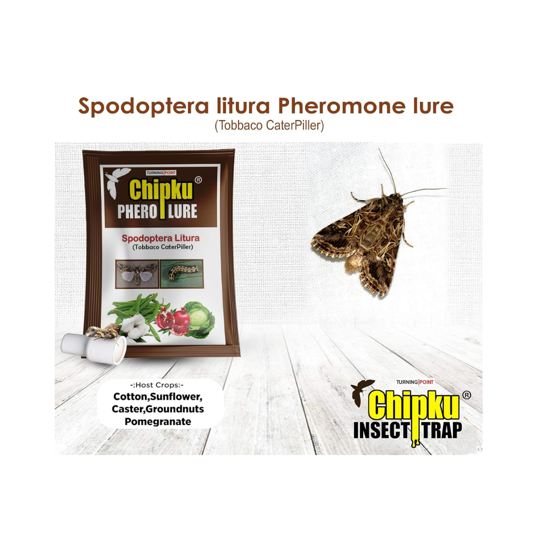 Chipku - Pheromone Trap Funnel with Spodoptera Litura Lure for Catch Insect/Moth of Tobacco Caterpillar (spodo) (Spodoptera Litura)