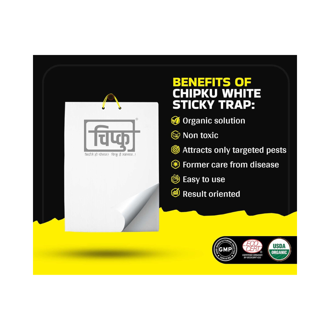 Chipku - White Sticky Trap Size A5 | Buy Online at Best Price Now