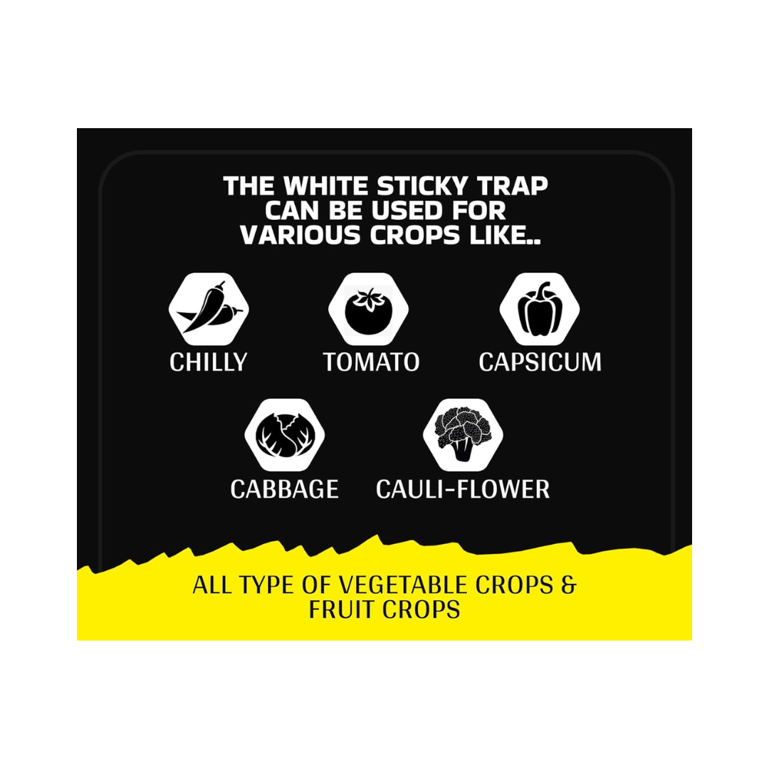 Chipku - White Sticky Trap Size A5 | Buy Online at Best Price Now
