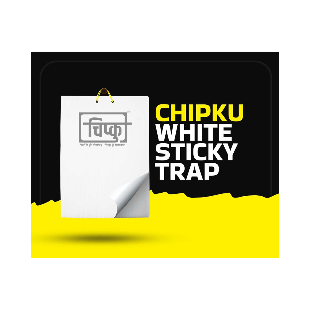 Chipku - White Sticky Trap Size A5 | Buy Online at Best Price Now