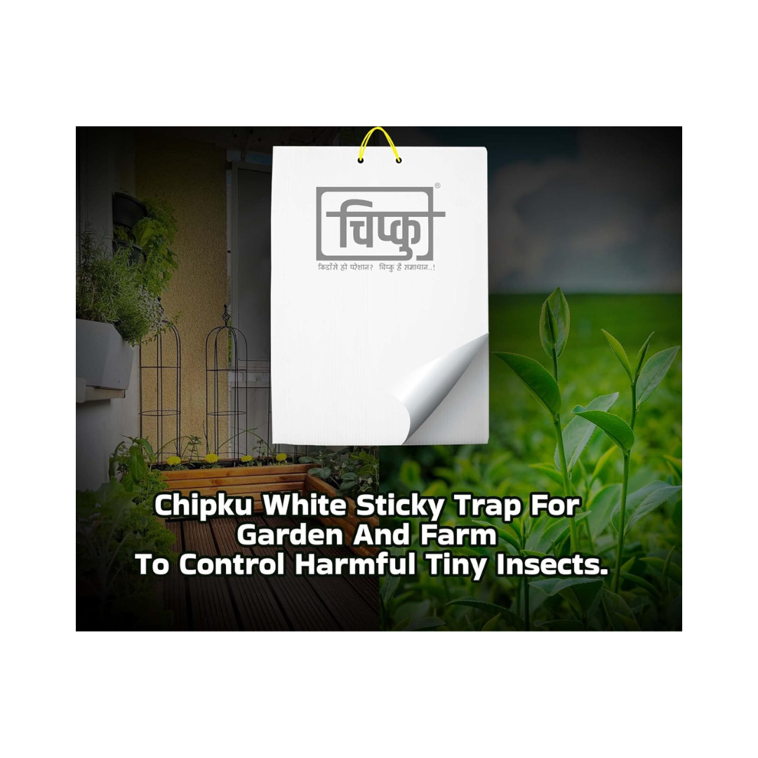 Chipku - White Sticky Trap Size A5 | Buy Online at Best Price Now