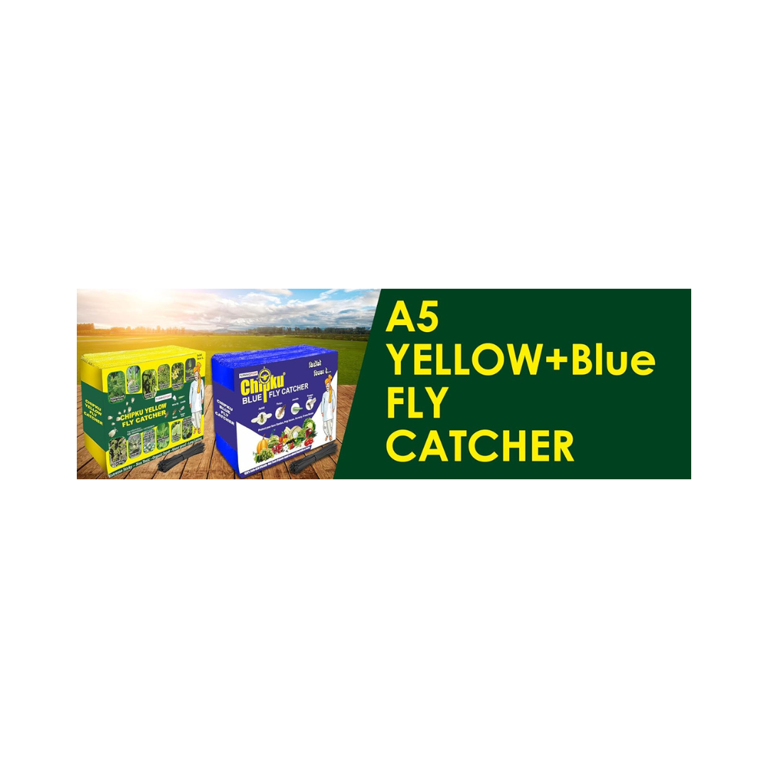 Chipku - Yellow Fly Catcher Size A5 | Buy Online at Best Price Now