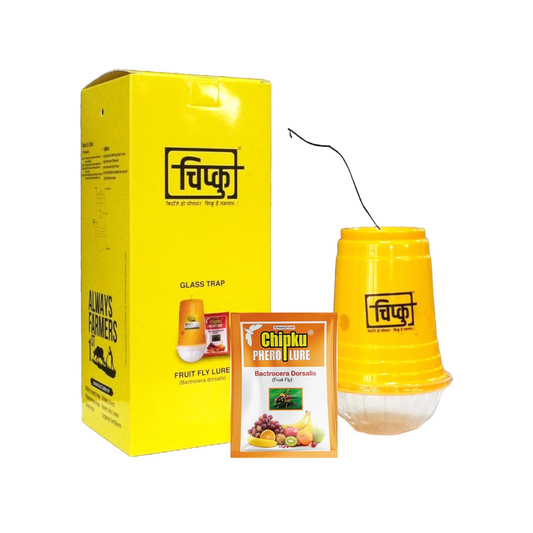 Chipku Bactocera Dorsalis Fruit Fly Outdoor Pheromone Trap with Lure