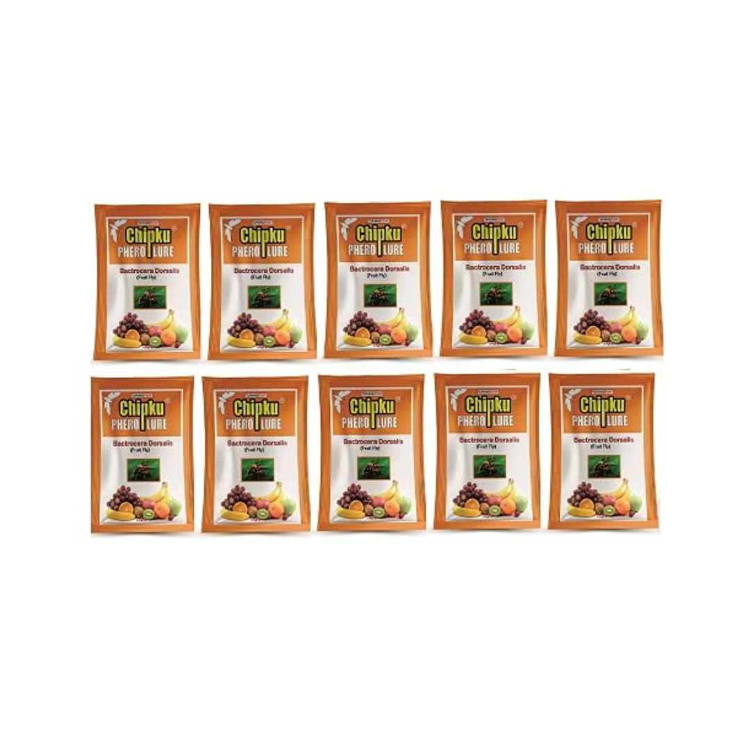 Chipku Bactocera Dorsalis Fruit Fly Outdoor Pheromone Trap with Lure