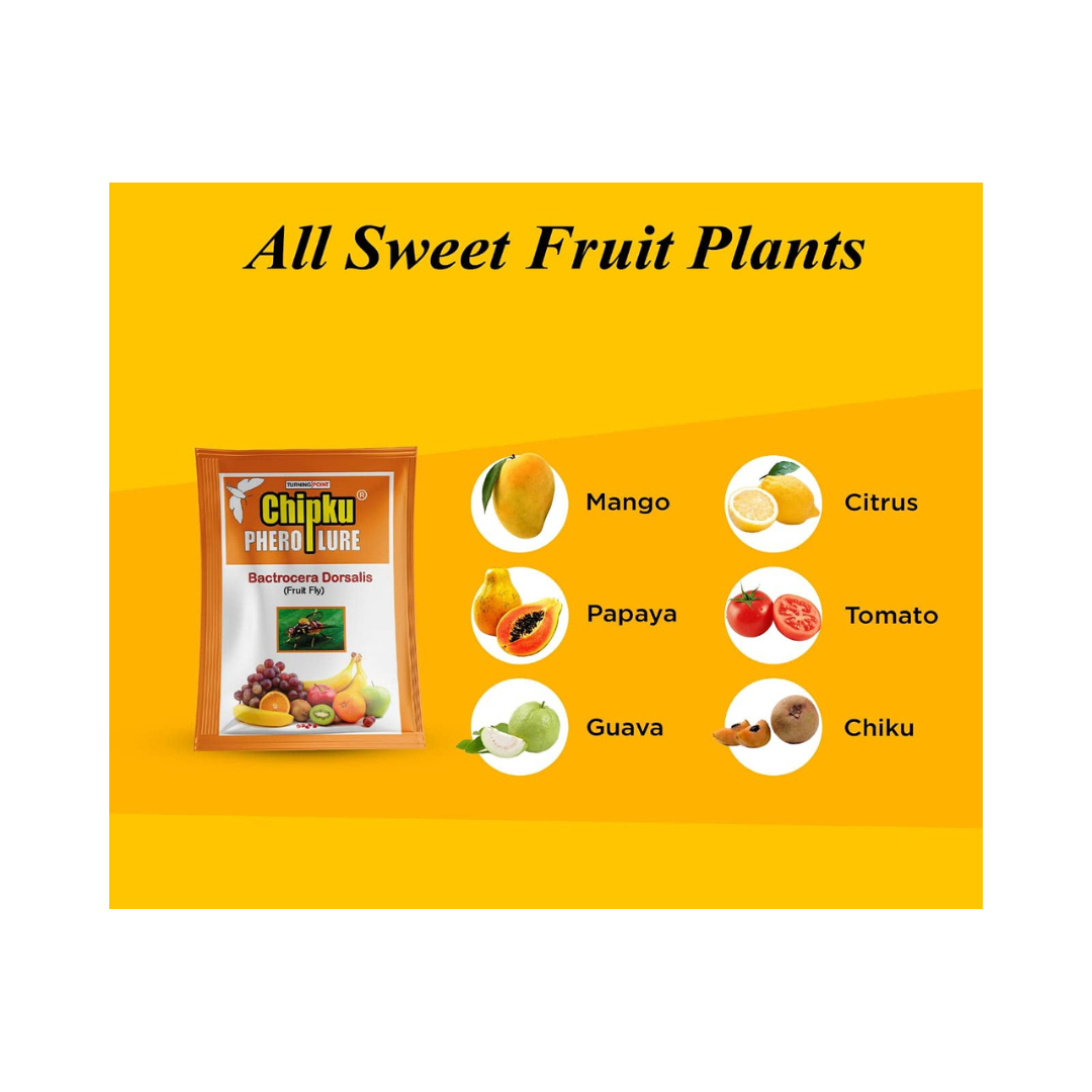 Chipku Bactocera Dorsalis Fruit Fly Outdoor Pheromone Trap with Lure