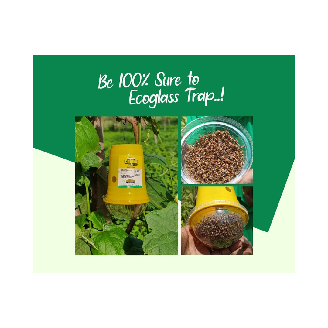 Chipku Bactocera Dorsalis Fruit Fly Outdoor Pheromone Trap with Lure