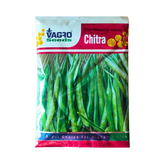 Chitra Guar Seeds - Vagro | F1 Hybrid | Buy Online at Best Price