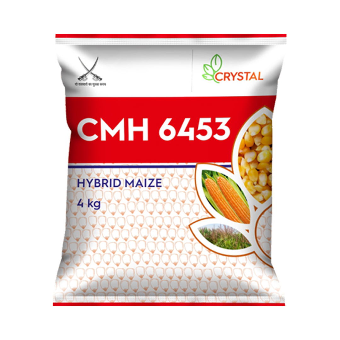 CMH 6453 Maize Seeds - Crystal | F1 Hybrid | Buy Online at Best Price
